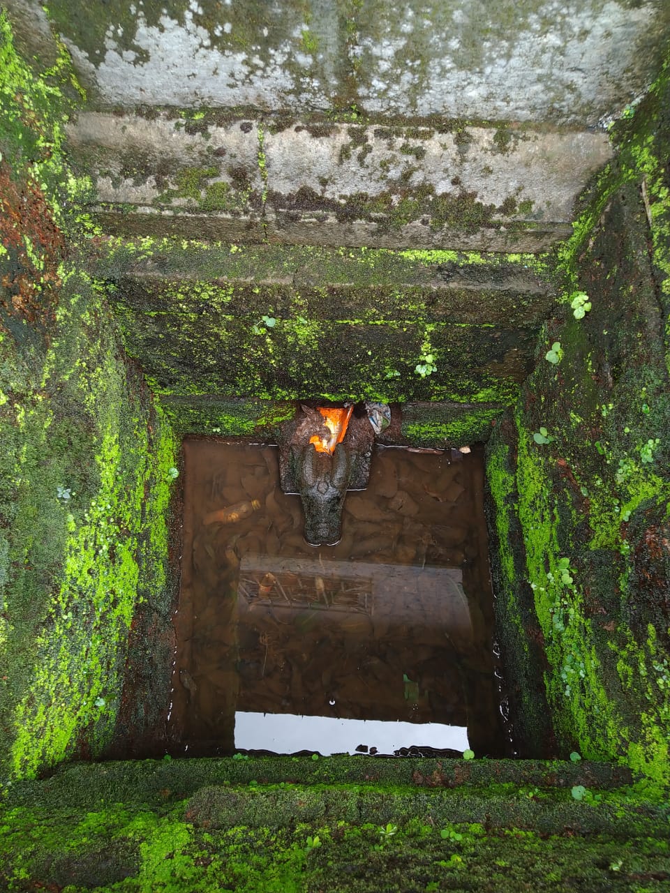 Vyaghreshwar Mandir Mirgad(Songir)