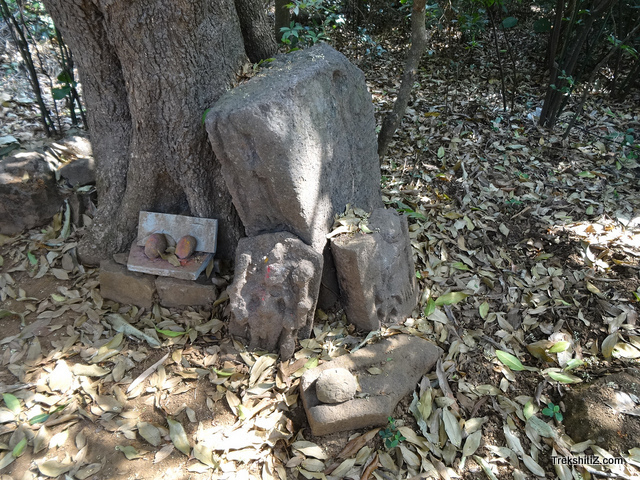 Mohangad