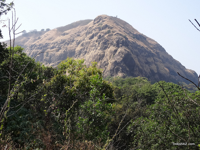 Mohangad