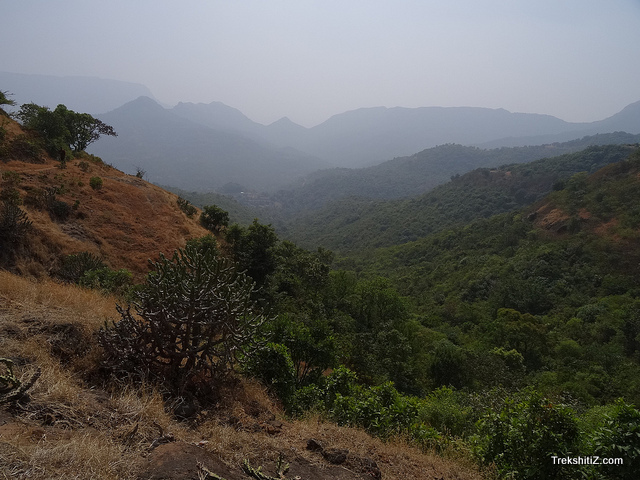 Mohangad