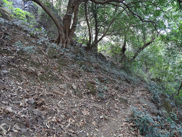 Mohangad