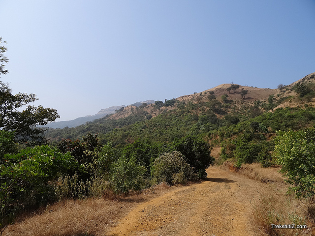 Mohangad