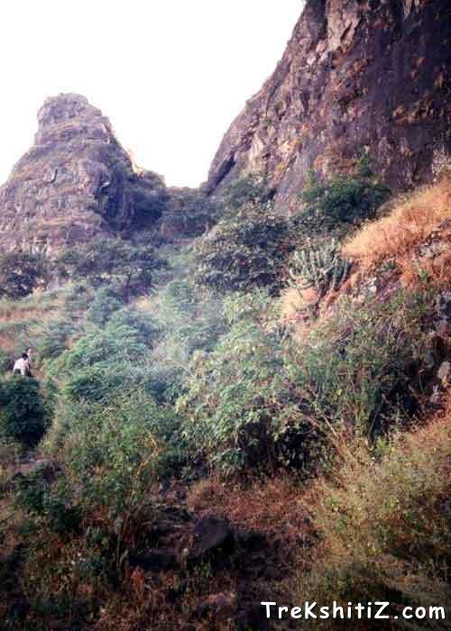 Mhoragad From Balekilla Mulher.