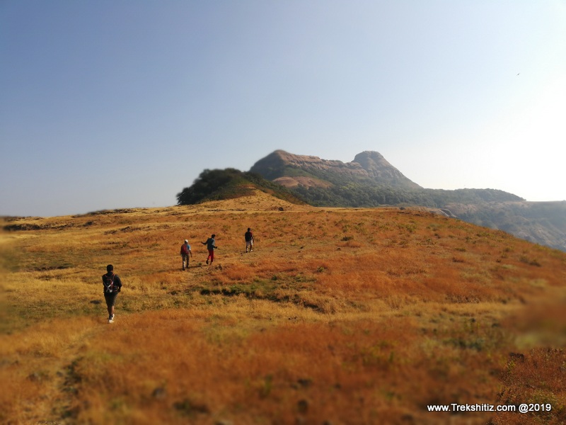 Morgiri fort from platue
