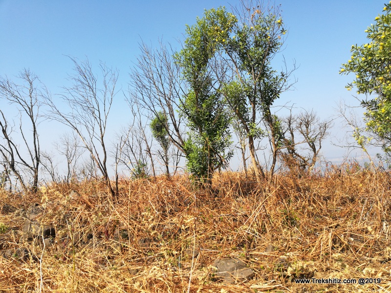 Remains on structure on Morgiri