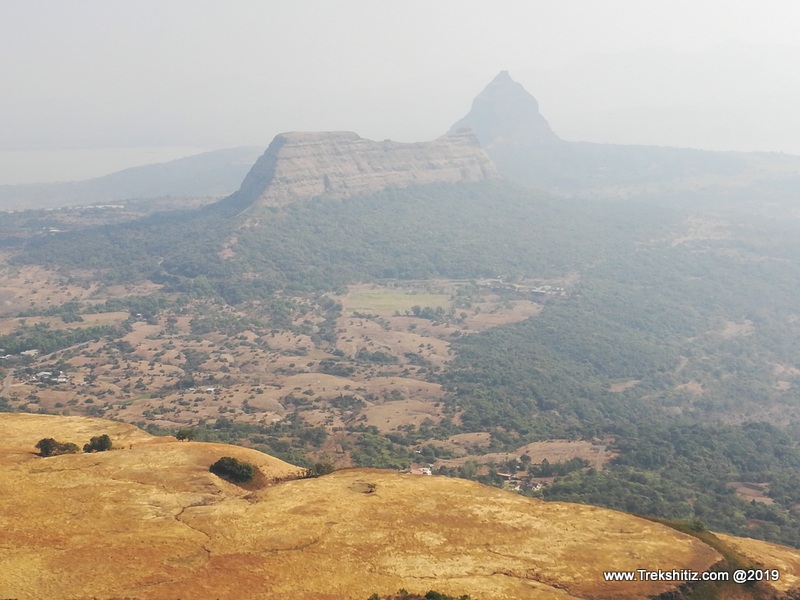 Tung from Morgiri