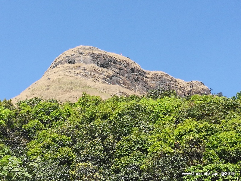 Morgiri