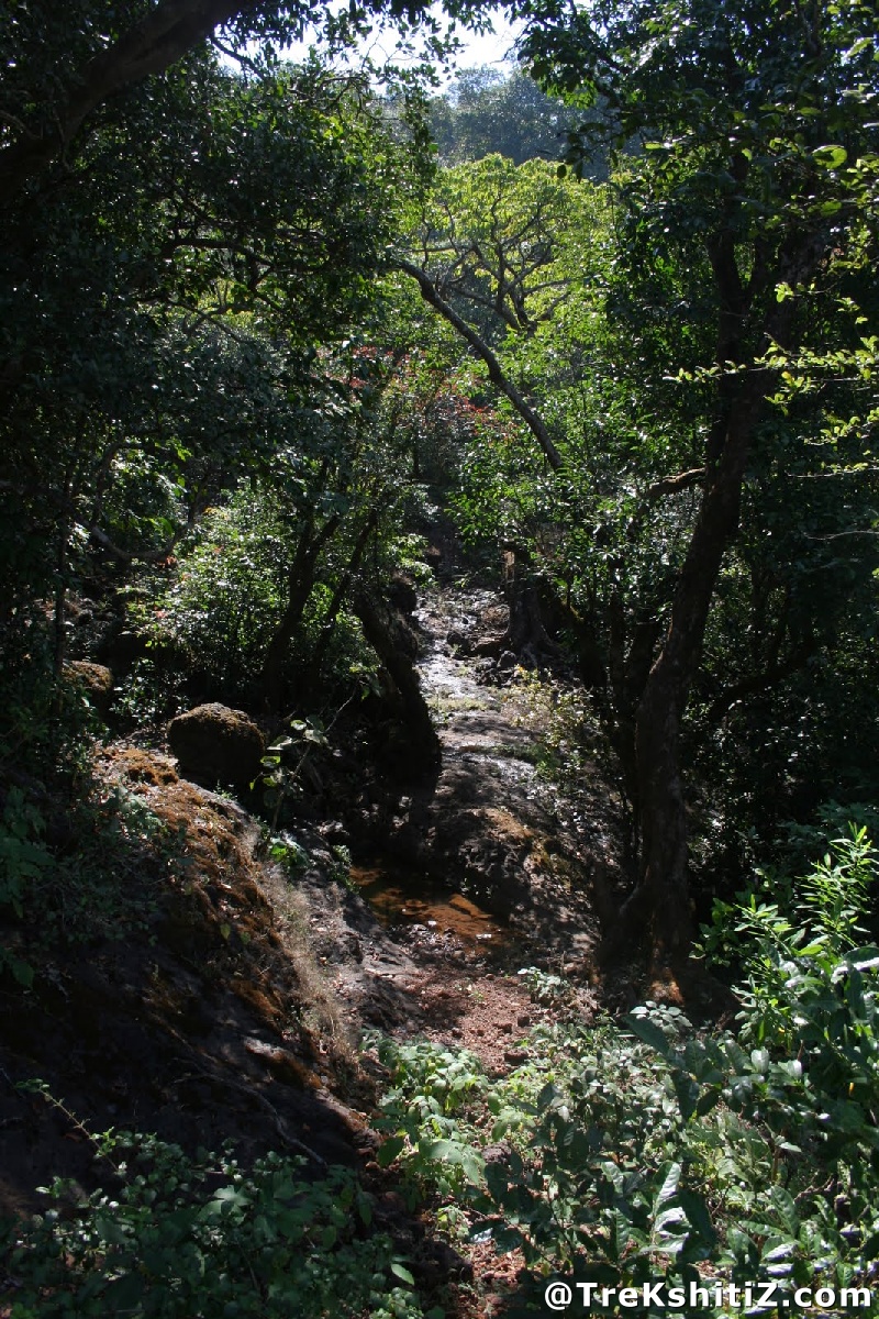 Mudagad