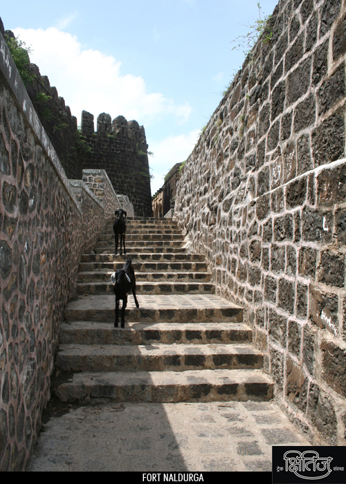 Fortification on Naldurga