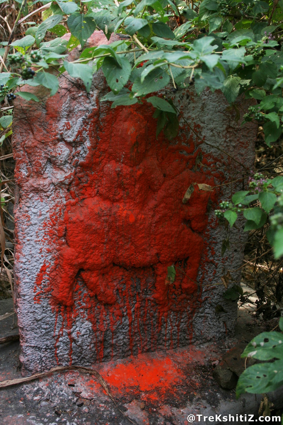 Narnala