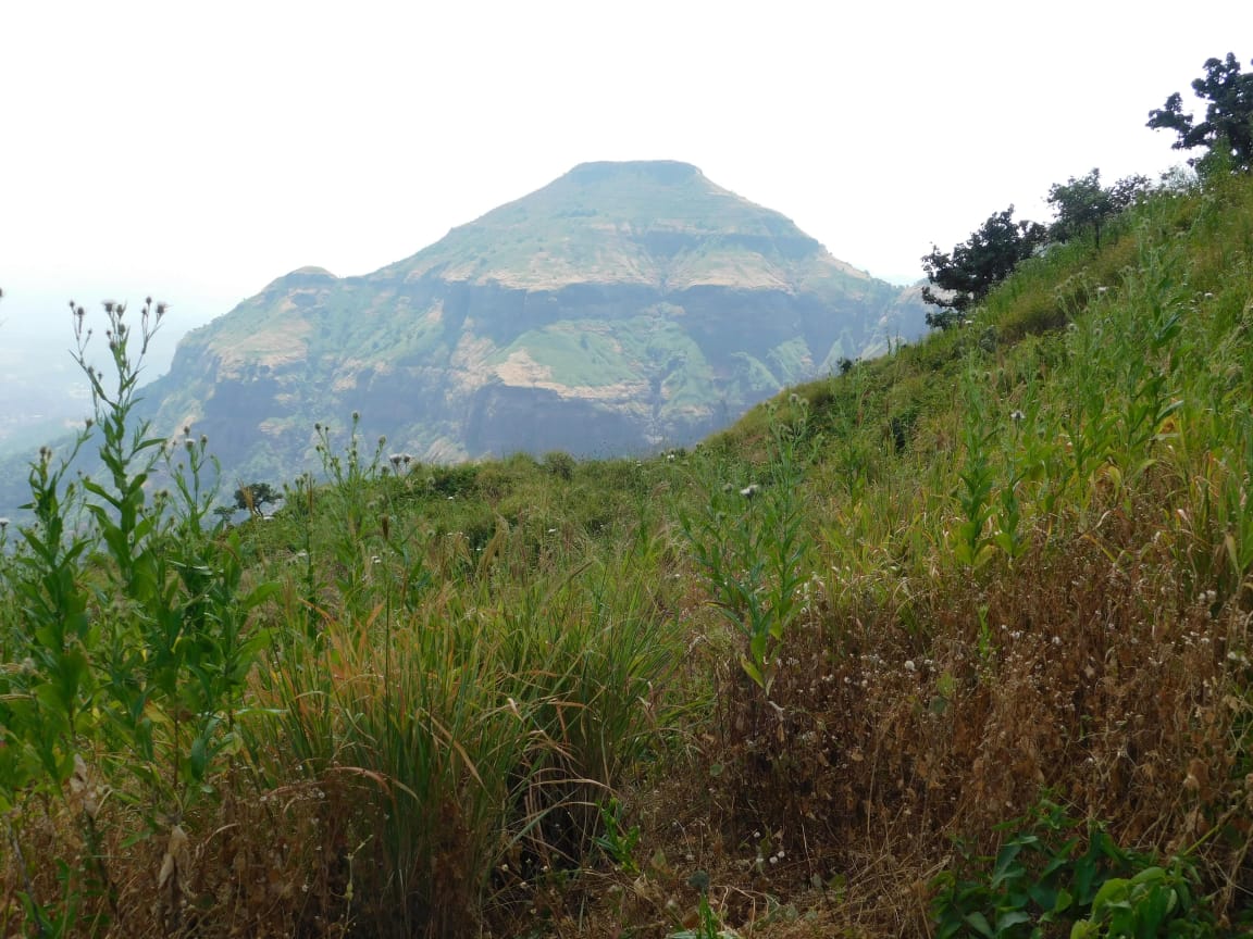 Pabargad