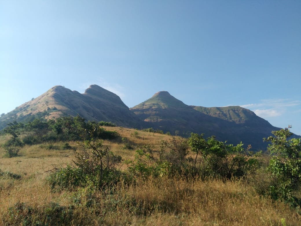 Pabargad