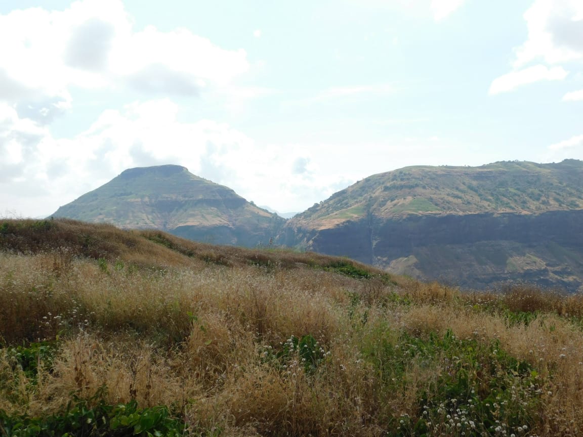 Pabargad