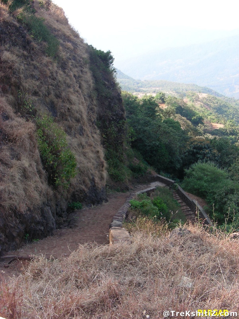 Pargad