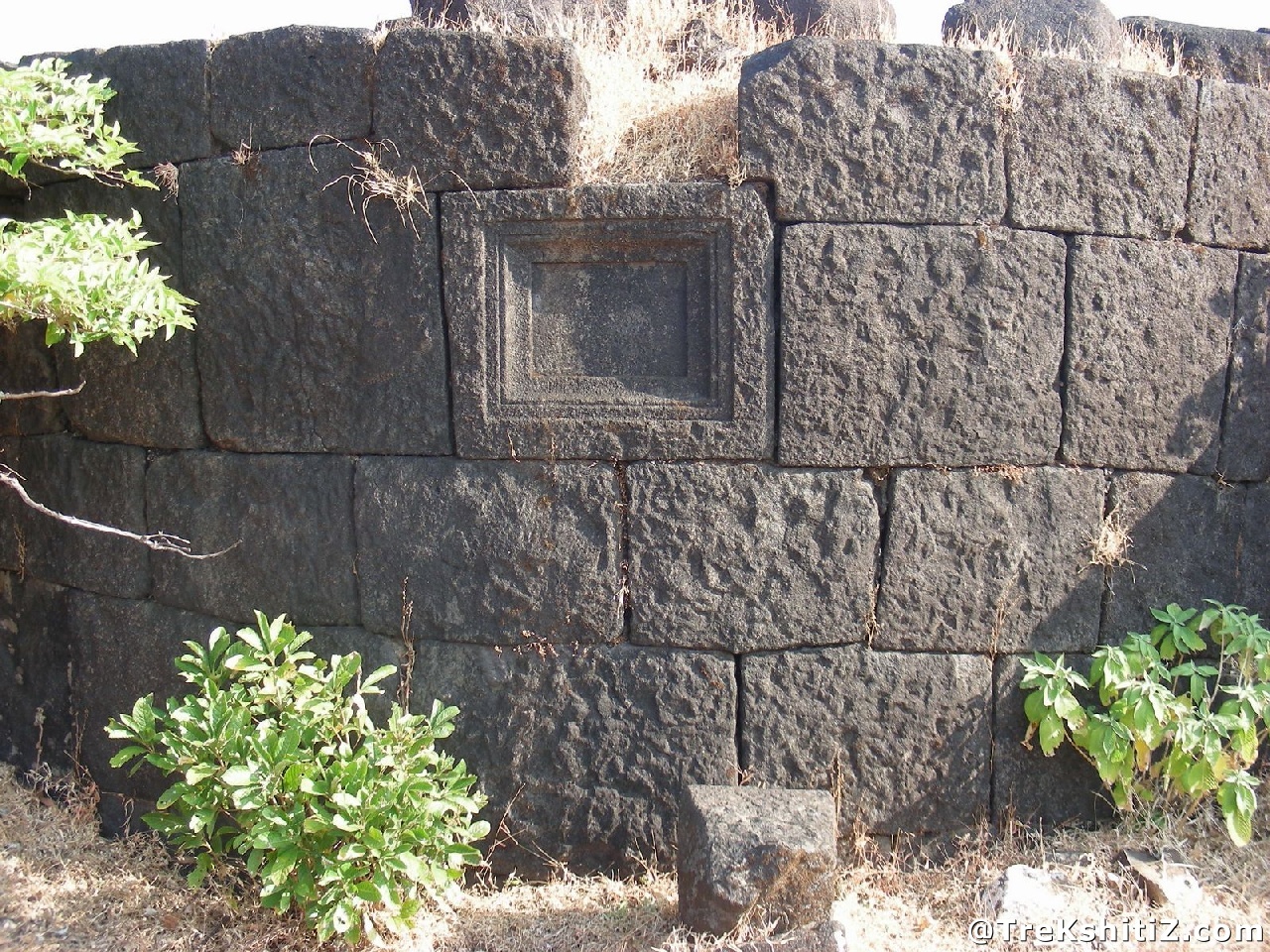 Pargad