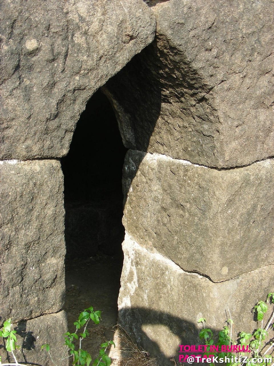 Pargad