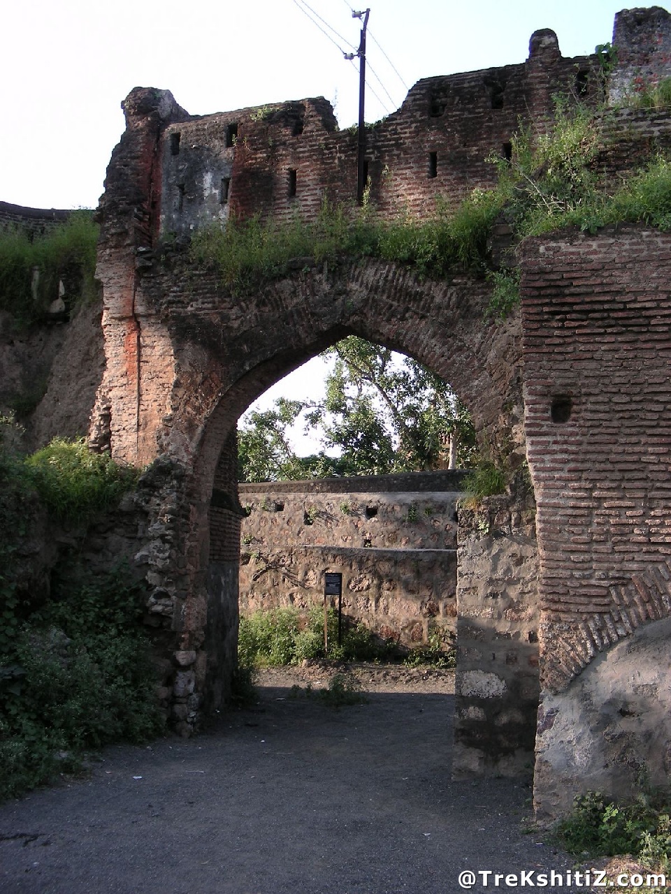 Parola