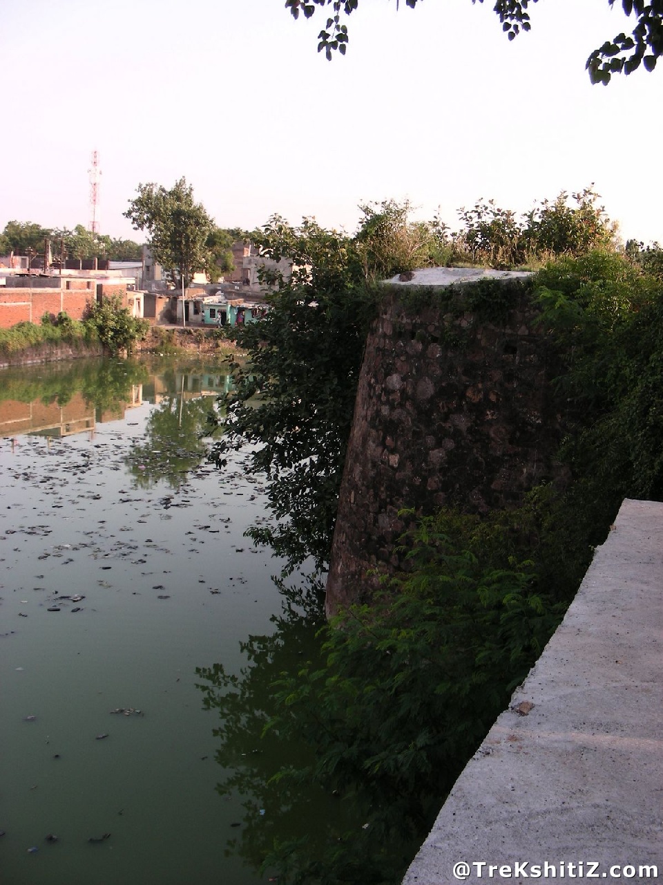 Parola