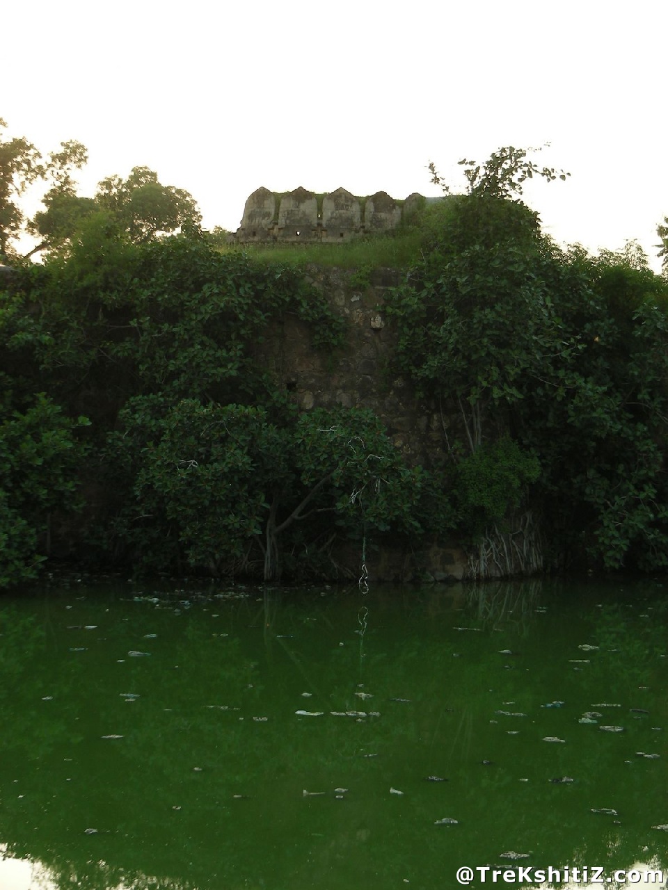 Parola