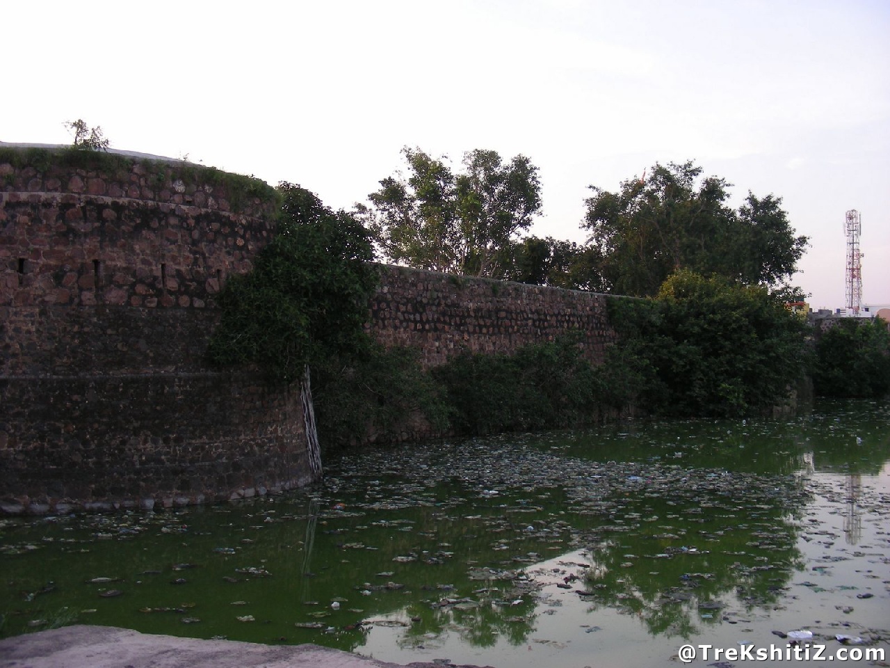 Parola