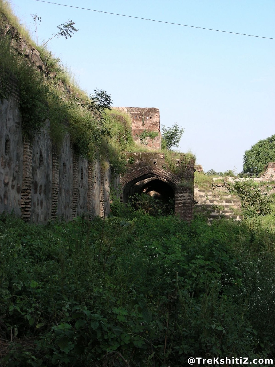 Parola