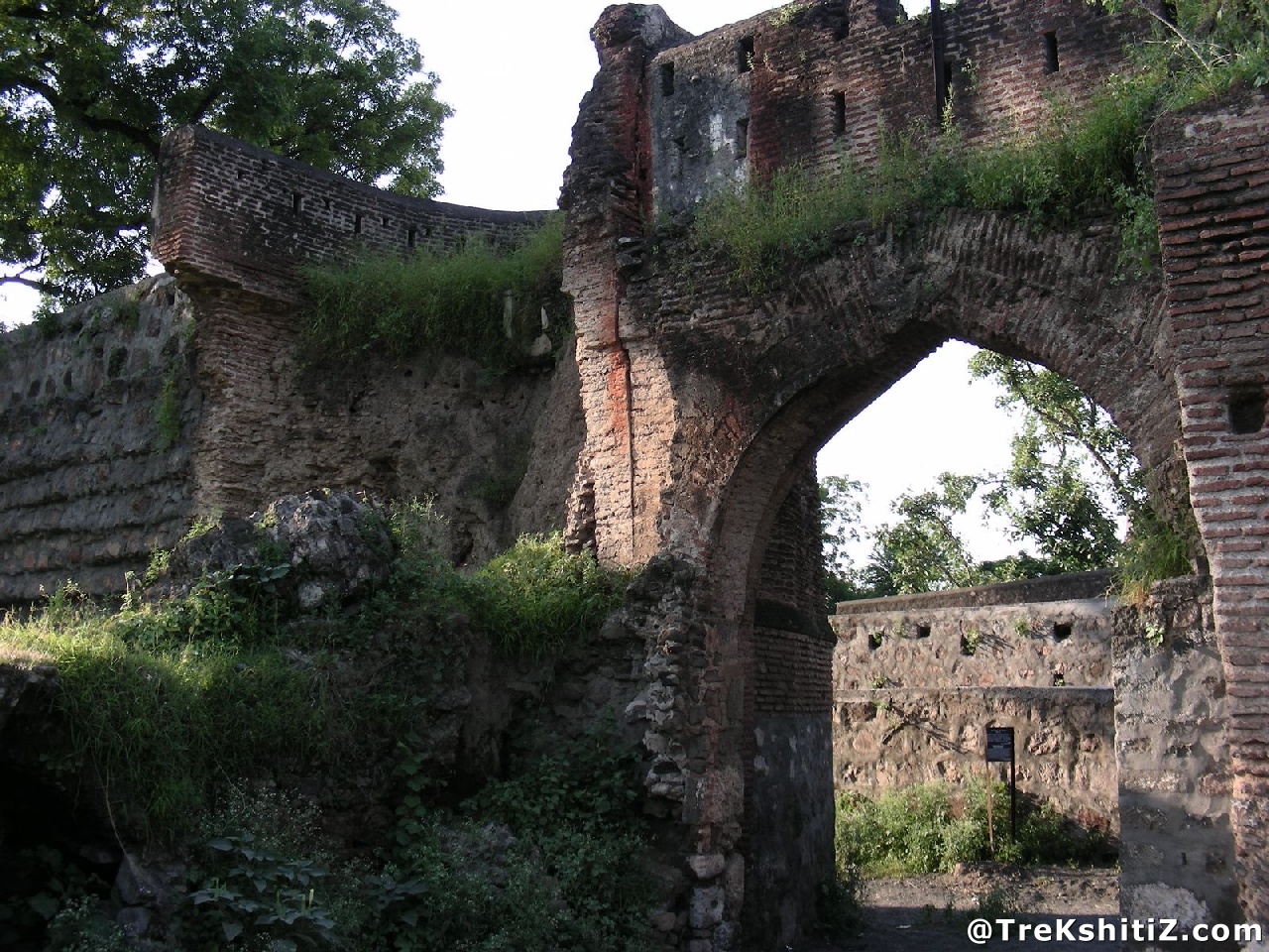Parola