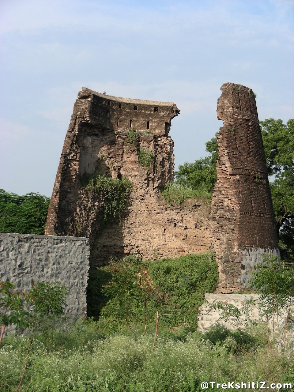 Parola