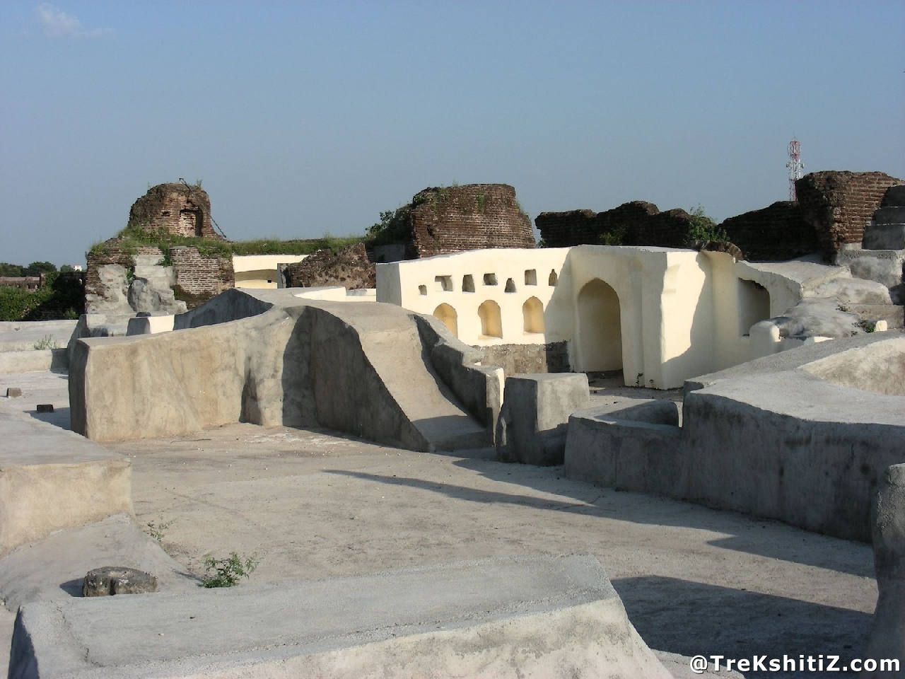 Parola