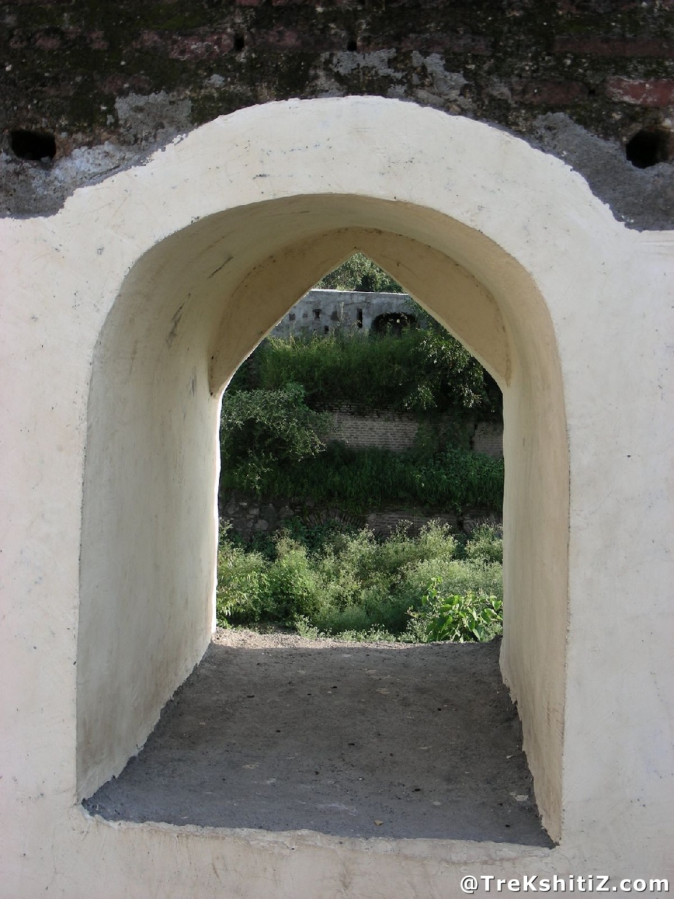 Parola