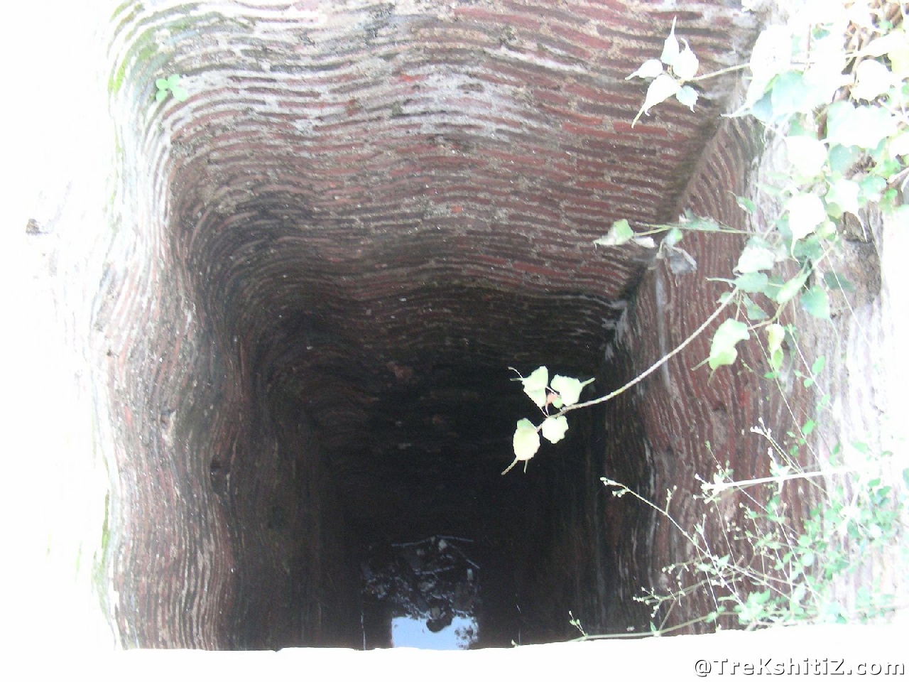 Parola