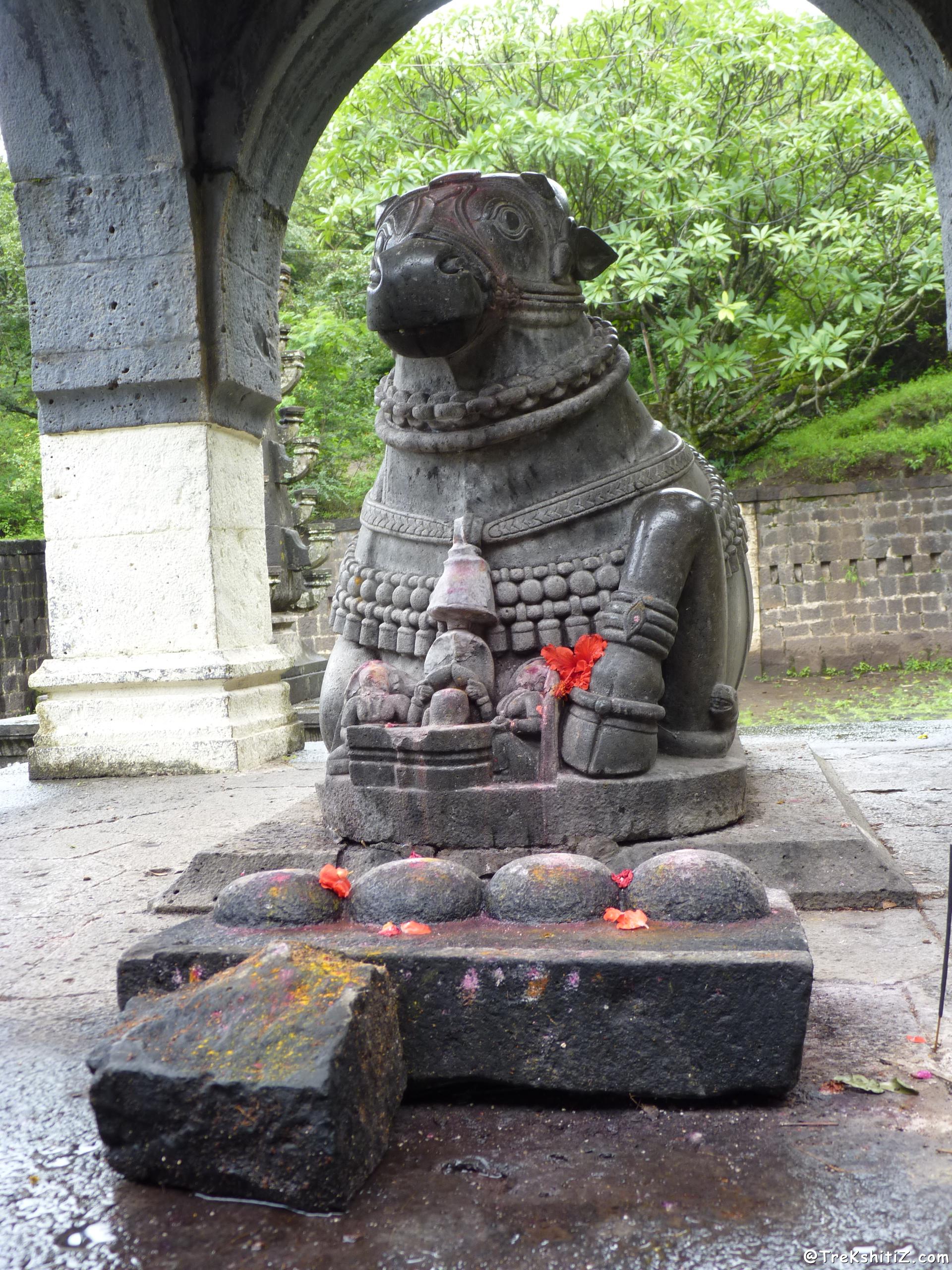 Pateshwar
