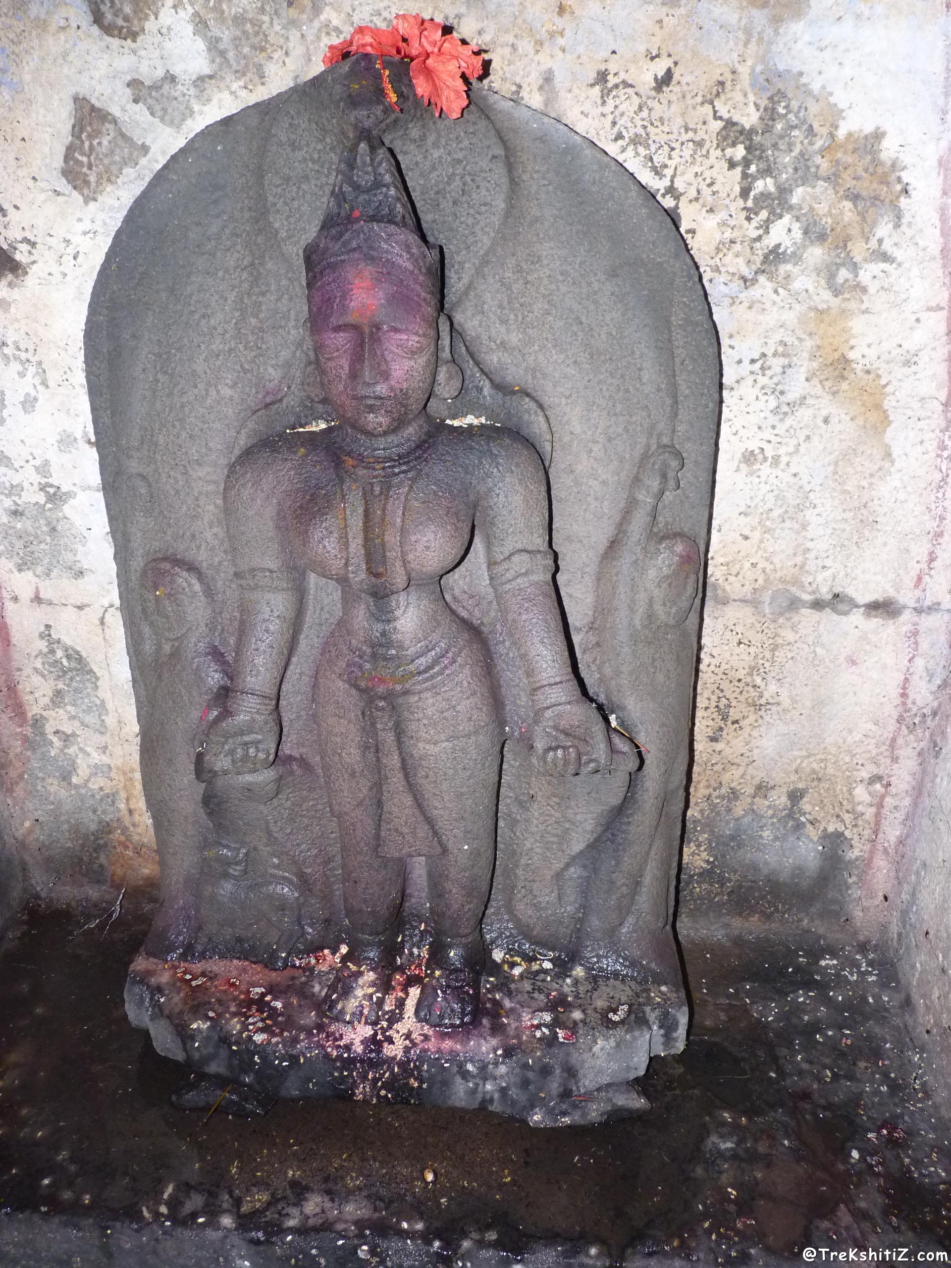 Pateshwar