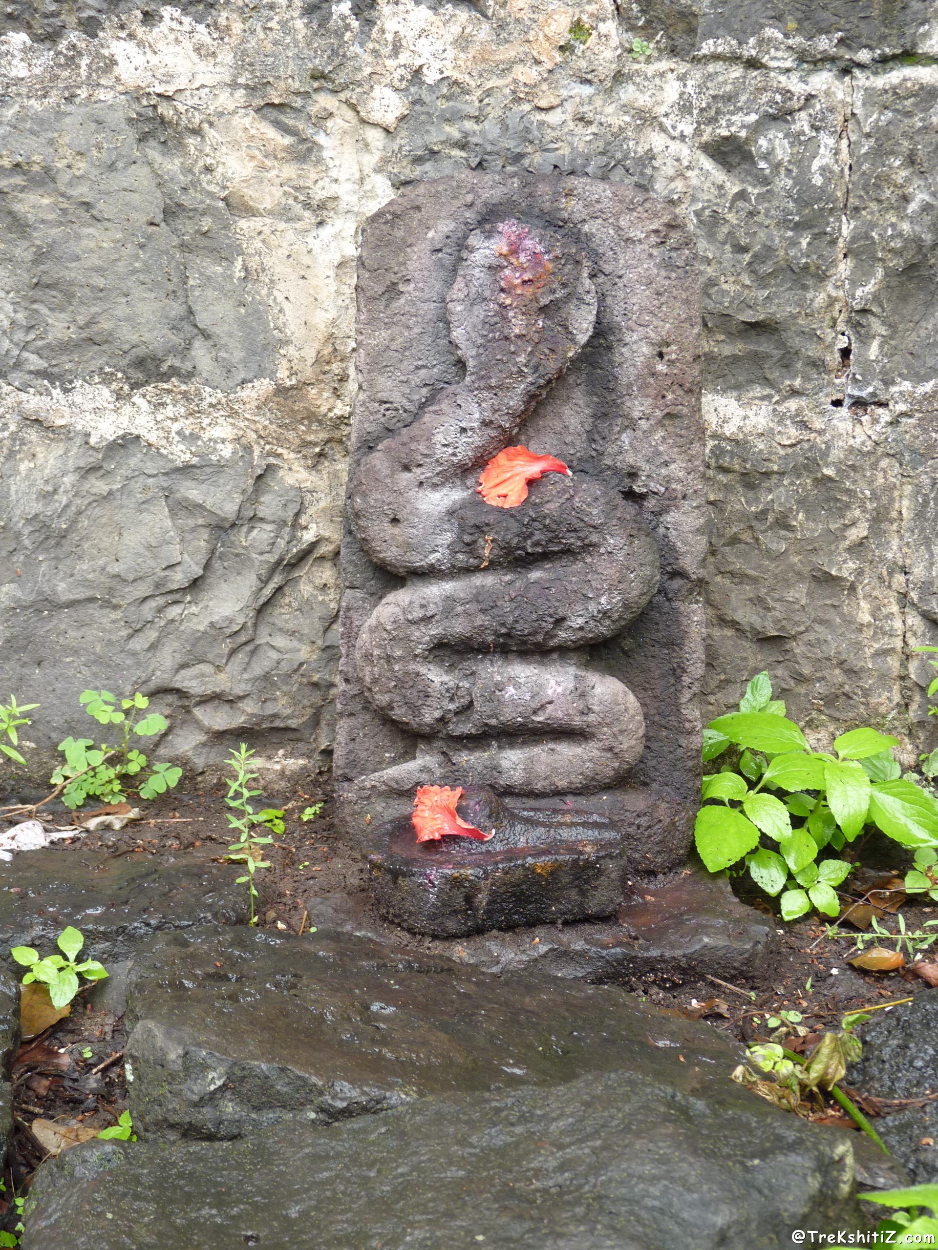 Pateshwar