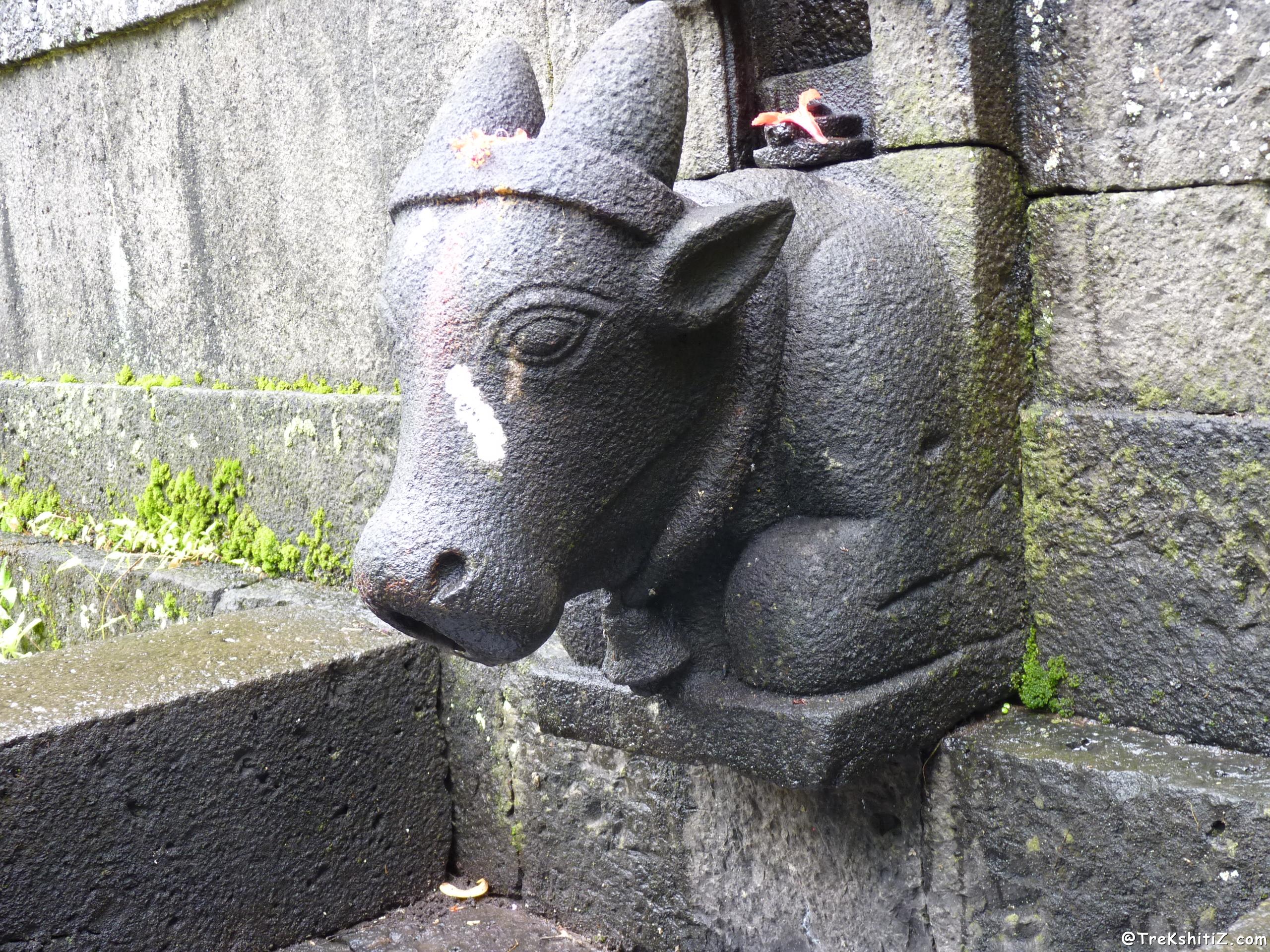 Pateshwar
