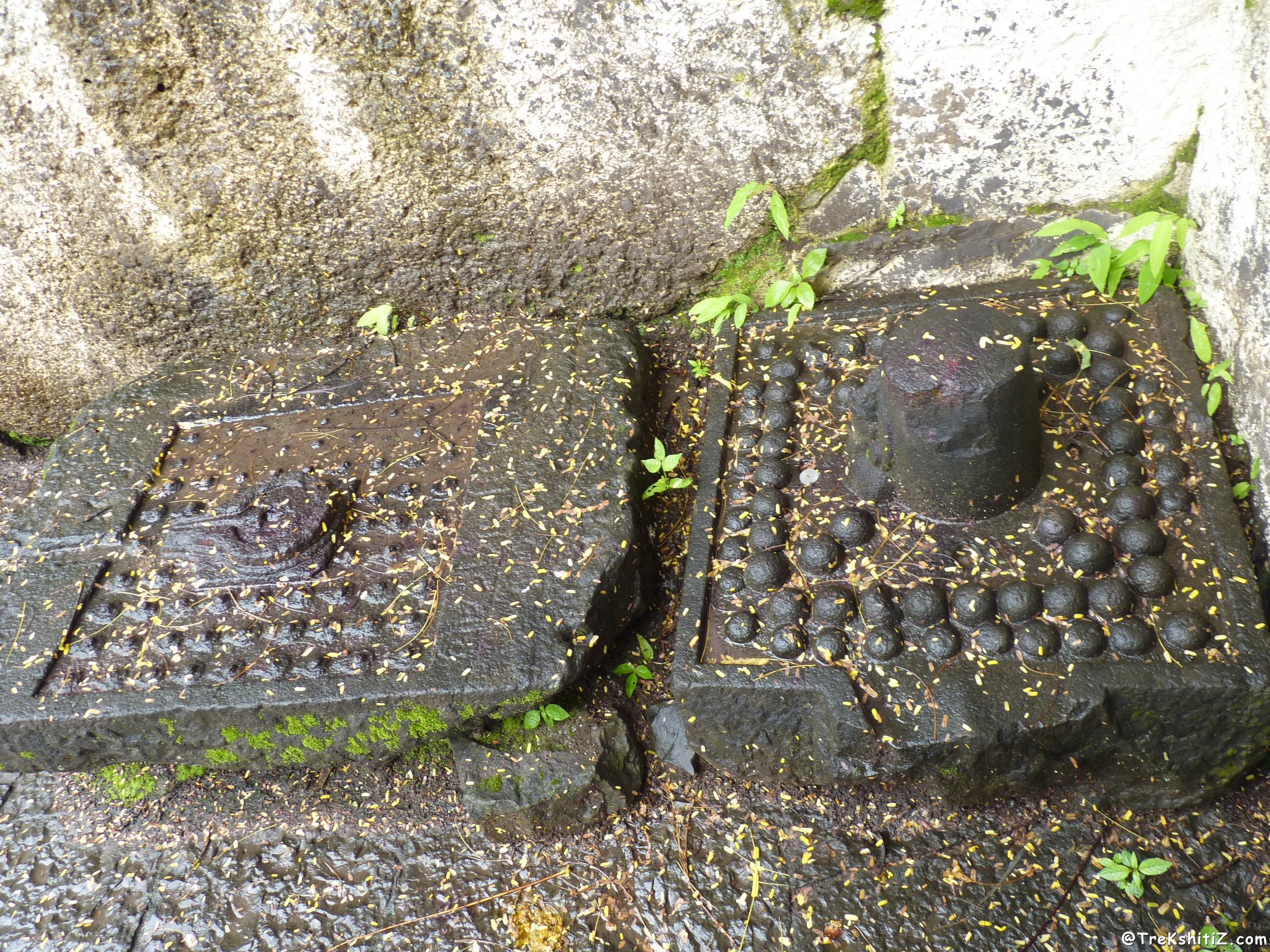 Pateshwar
