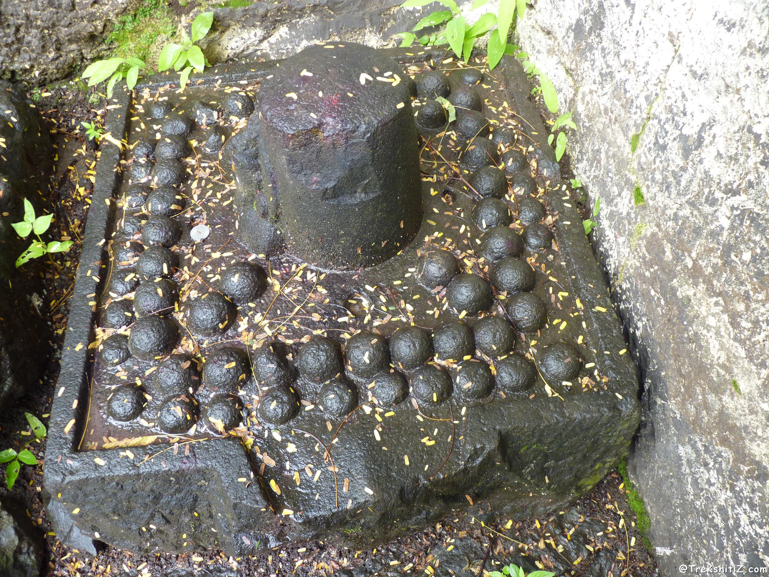 Pateshwar