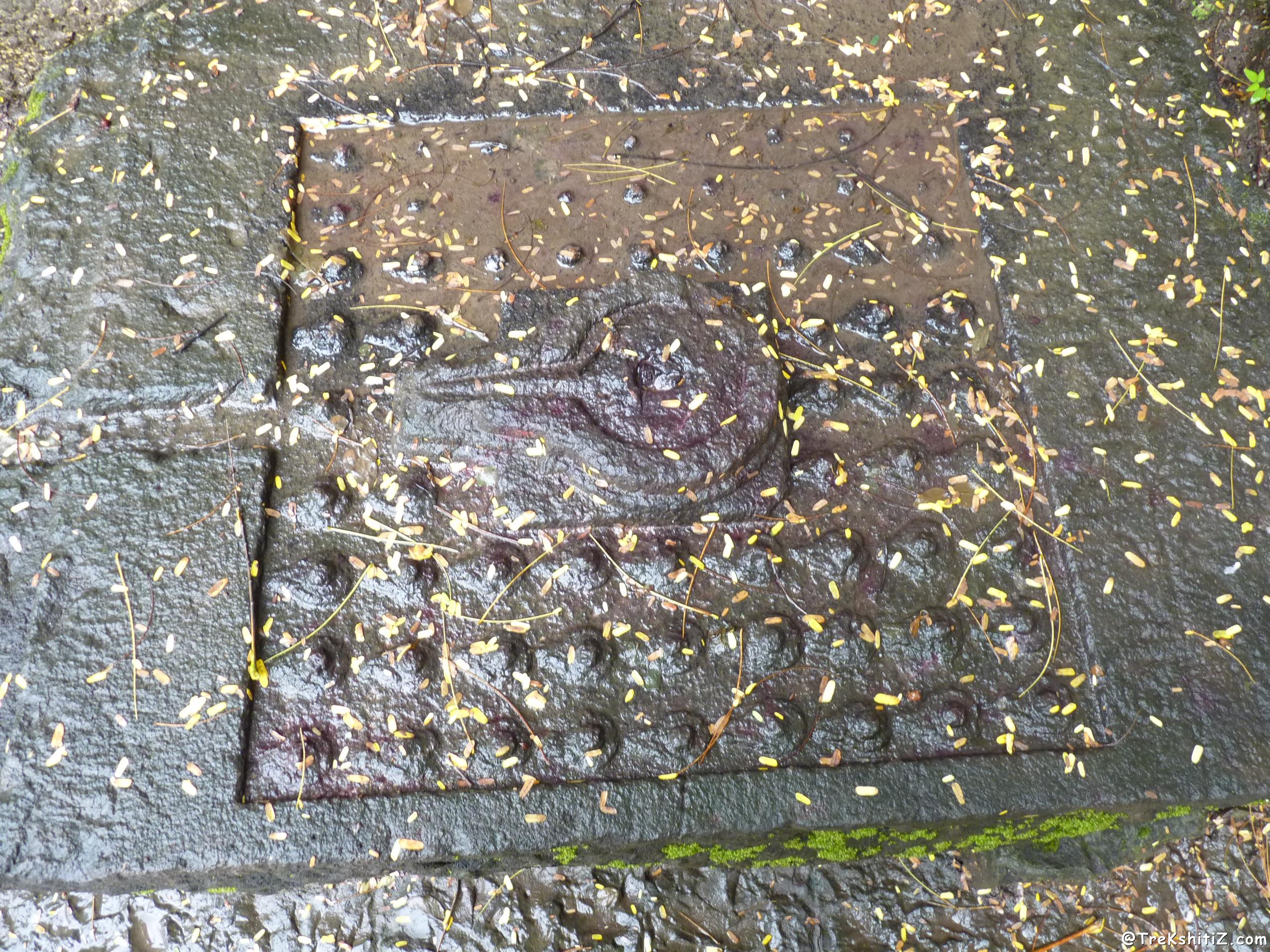 Pateshwar