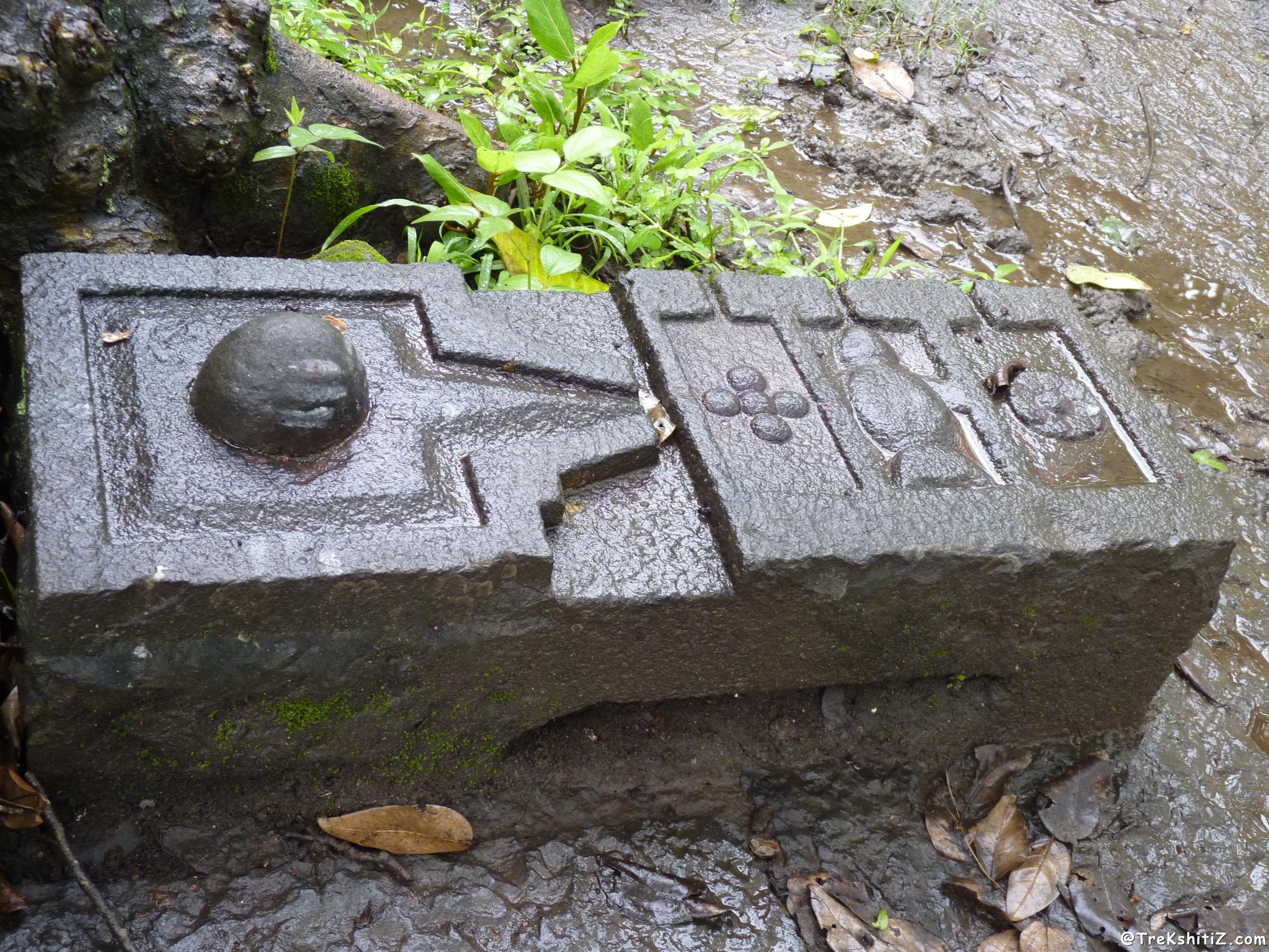 Pateshwar