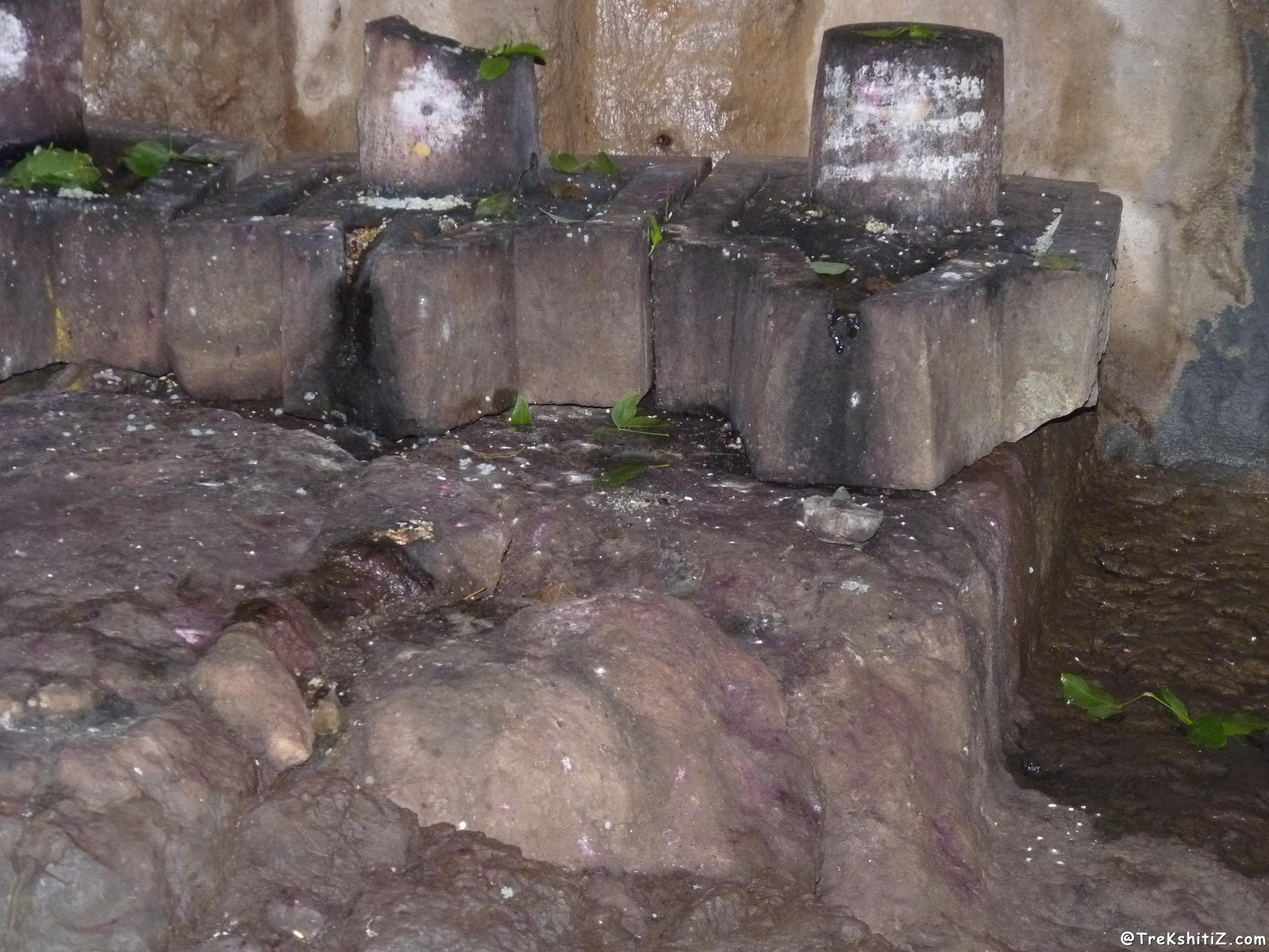Pateshwar