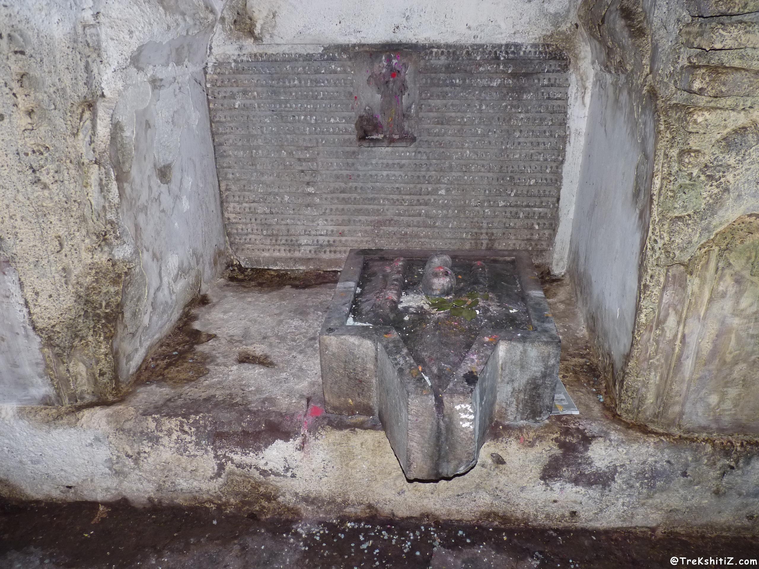 Pateshwar