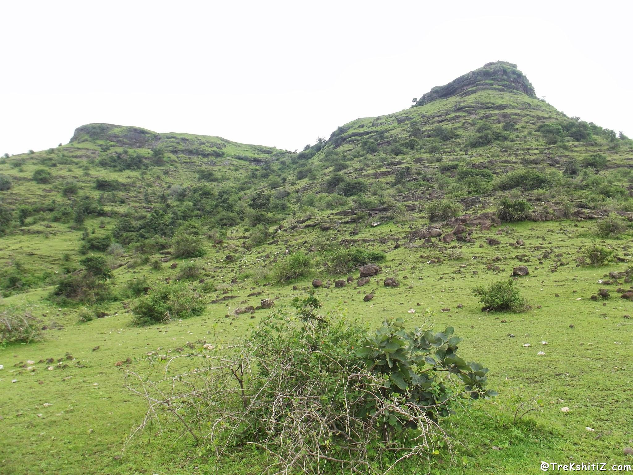 Pedka