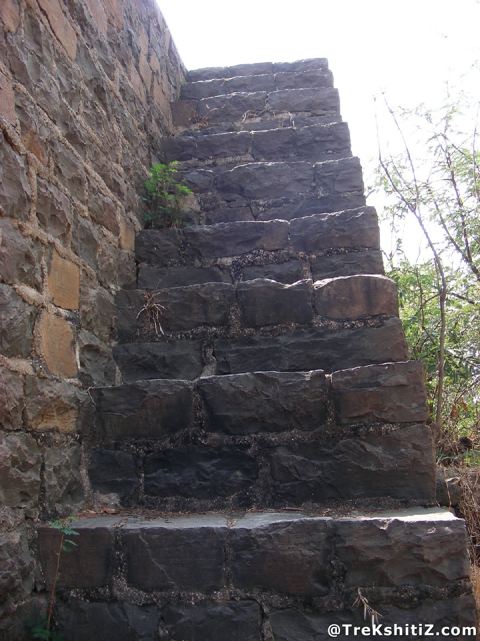 Piliv Fort