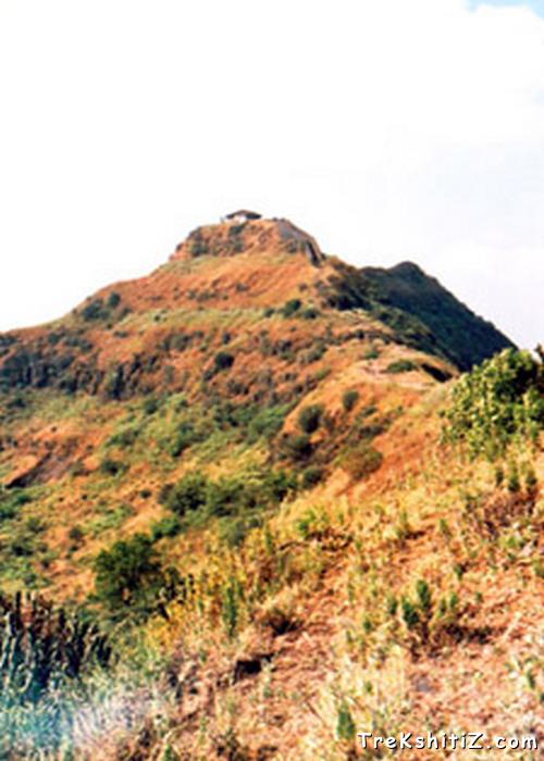 Kedareshwar Temple