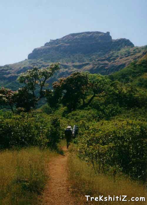 Rajgad view from the way of Gunjawane village