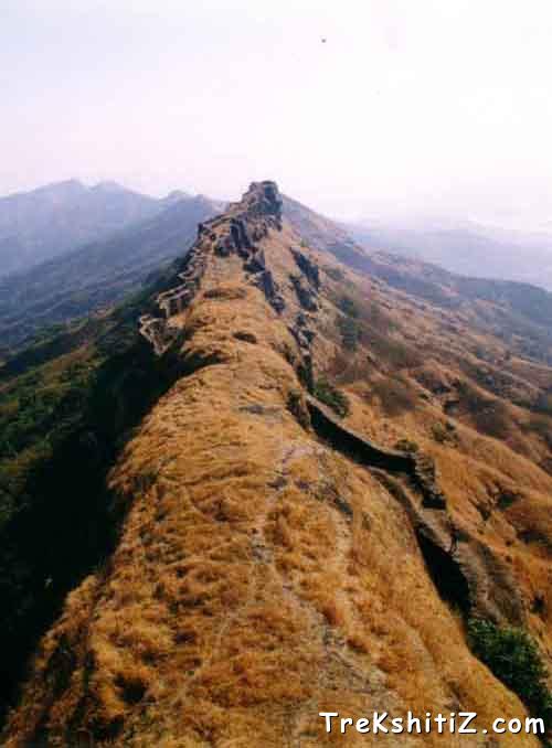 Sanjivanee Machi