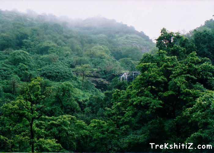 Waterfall can be seen from Rajmachi.