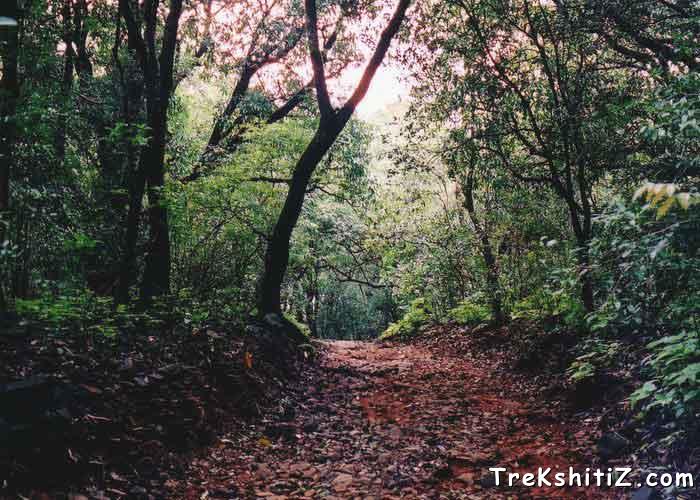 On the way to Rajmachi
