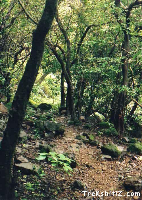 on the way to Rajmachi