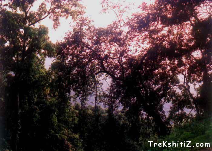 A view from Rajmachi