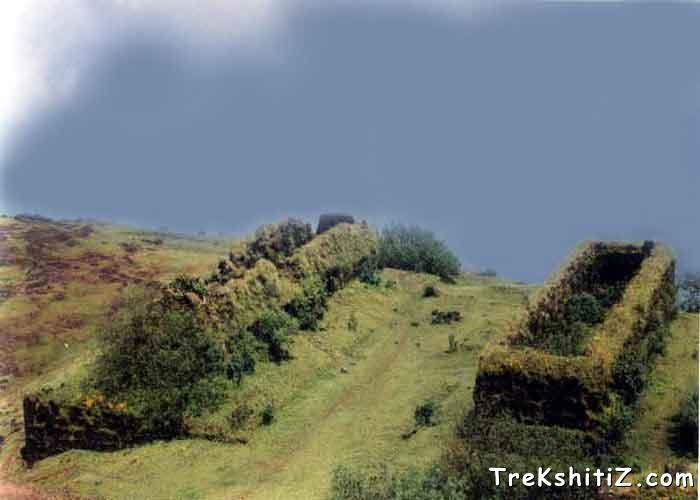 BrahmanVasti